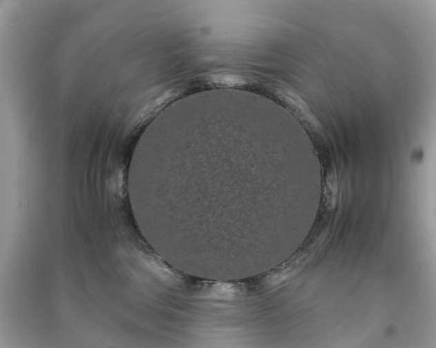 X0000090990330200708091524