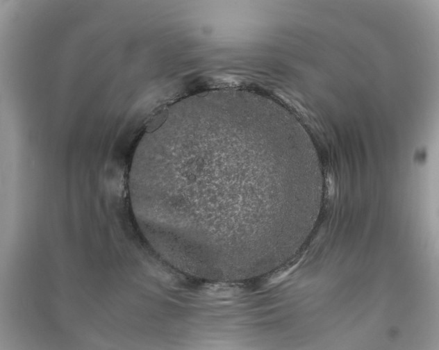 X0000090990331200708091524