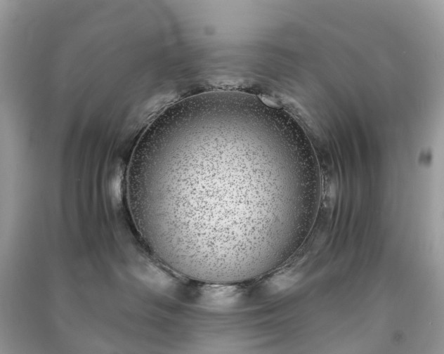 X0000090990334200708091524