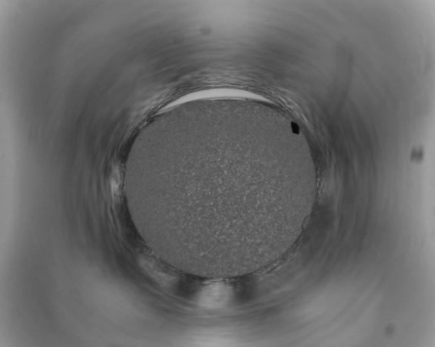 X0000090990335200708091524