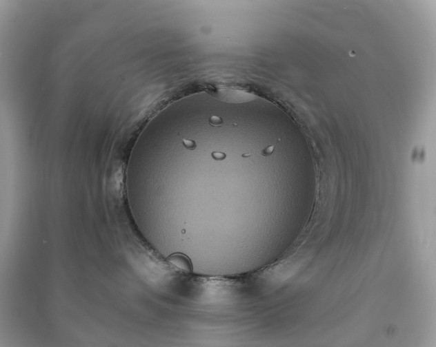 X0000090990336200708091524