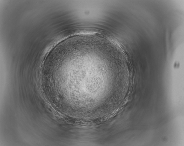 X0000090990337200708091523