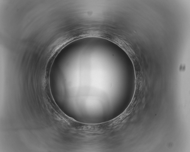 X0000090990338200708091523