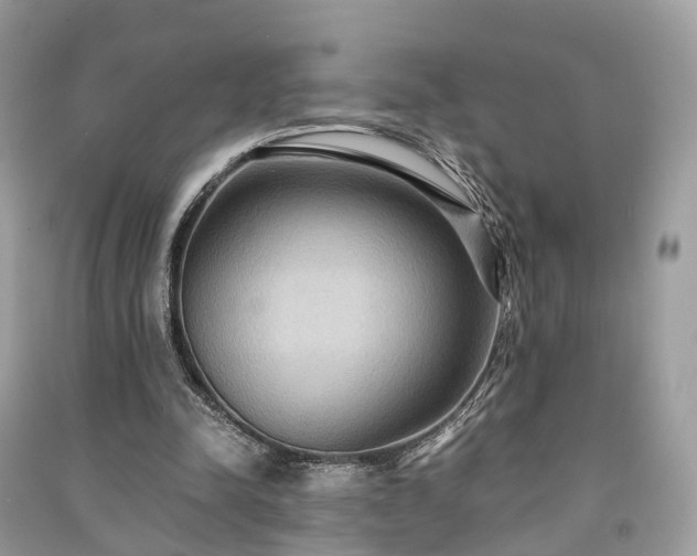 X0000090990342200708091523