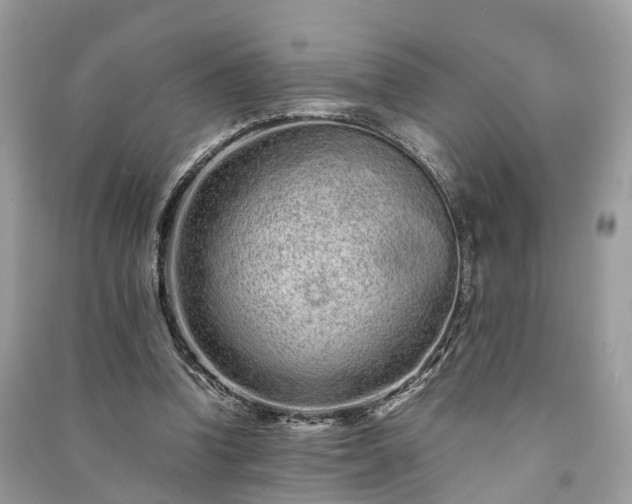 X0000090990346200708091523