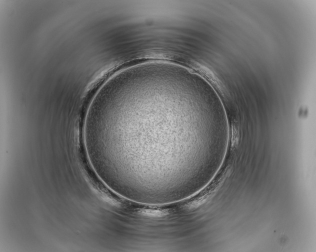 X0000090990349200708091524