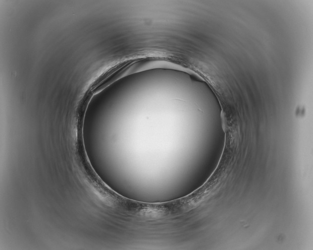 X0000090990350200708091524