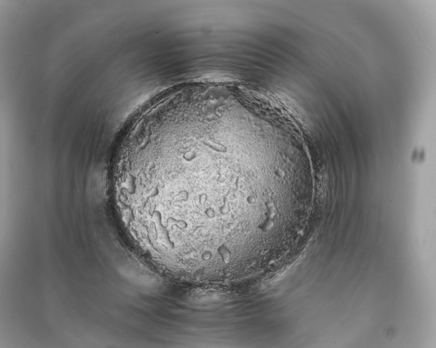 X0000090990351200708091524