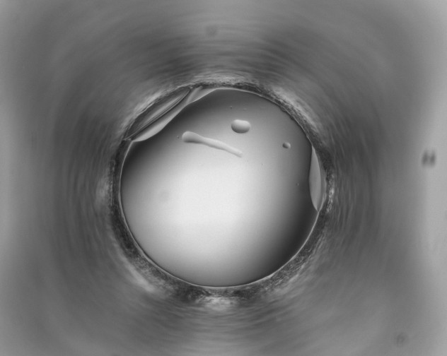 X0000090990352200708091524