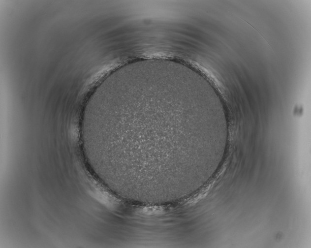 X0000090990353200708091524