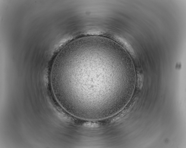 X0000090990354200708091524