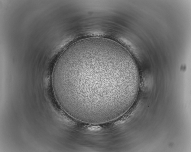 X0000090990355200708091524