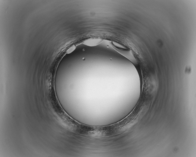 X0000090990356200708091524