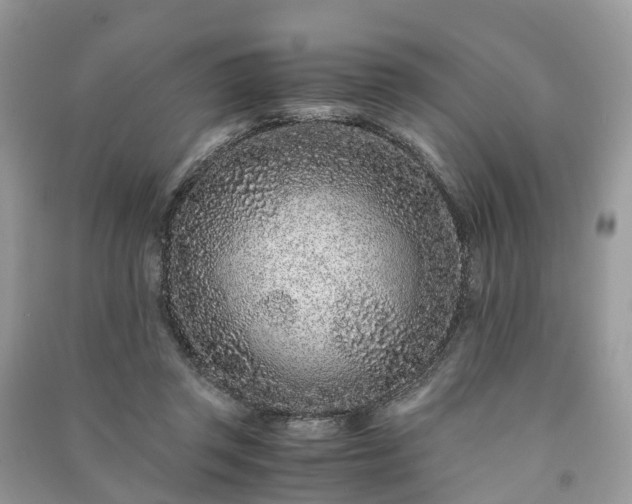 X0000090990357200708091524