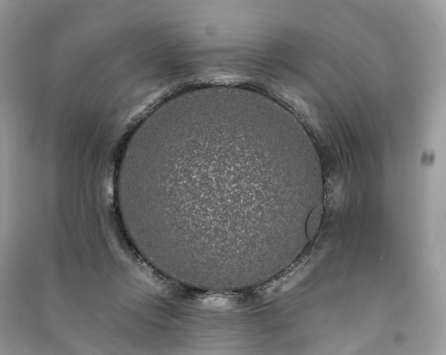 X0000090990358200708091524