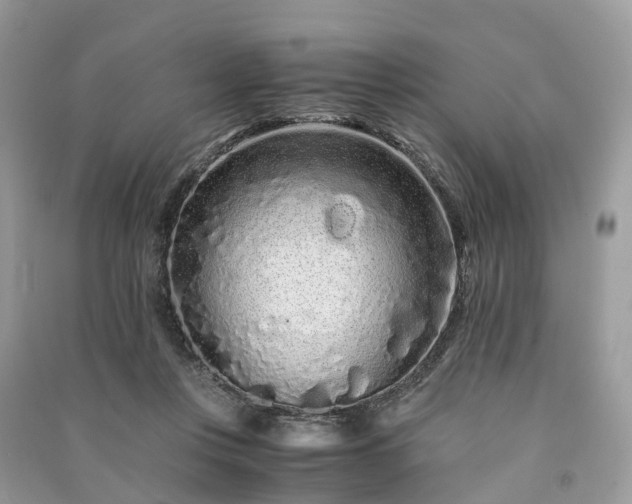 X0000090990359200708091524