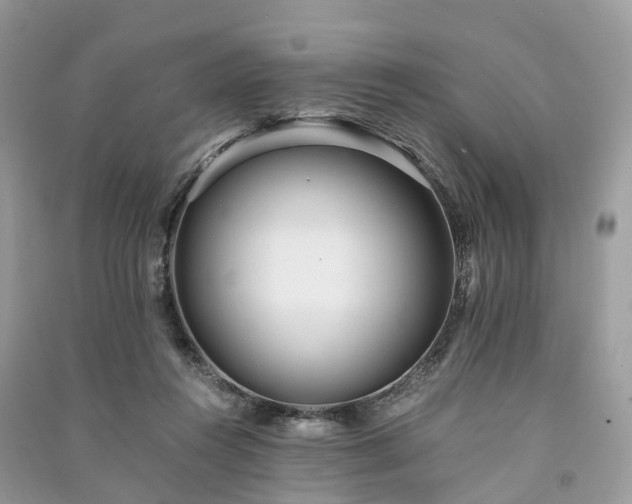 X0000090990360200708091524