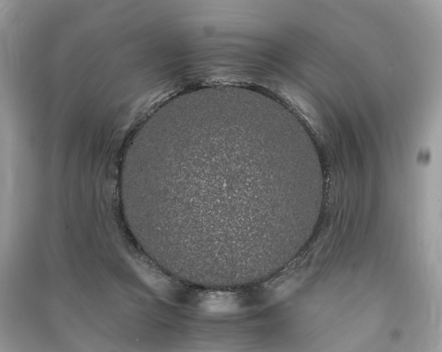 X0000090990361200708091524