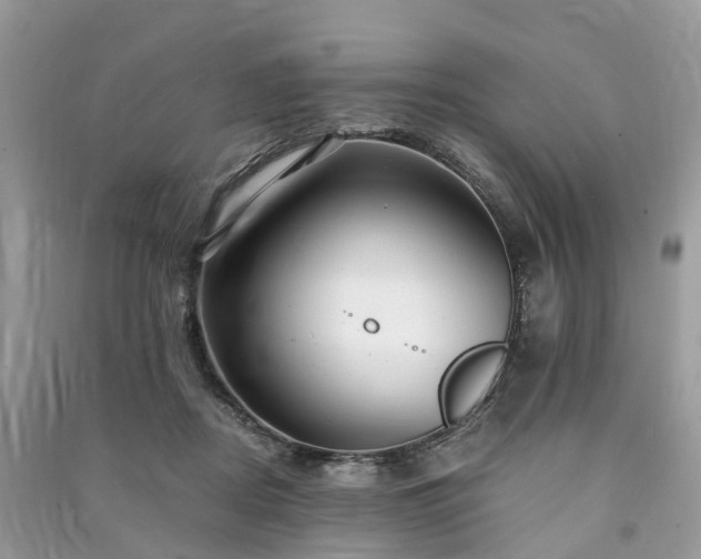 X0000090990362200708091524