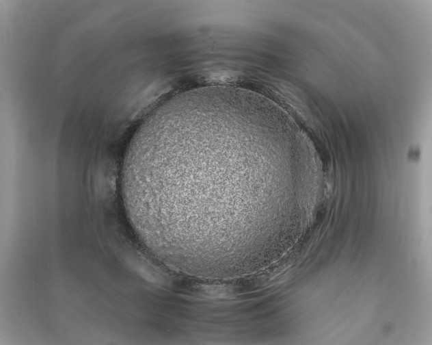 X0000090990363200708091524