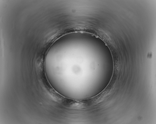 X0000090990364200708091524