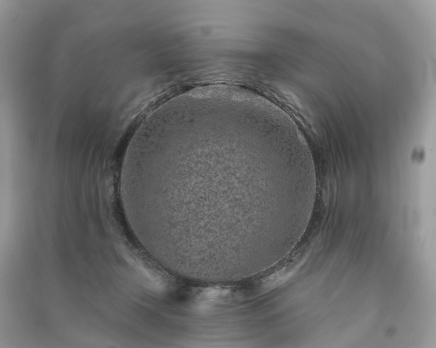 X0000090990366200708091524