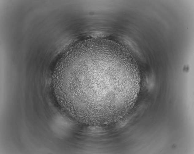 X0000090990367200708091524