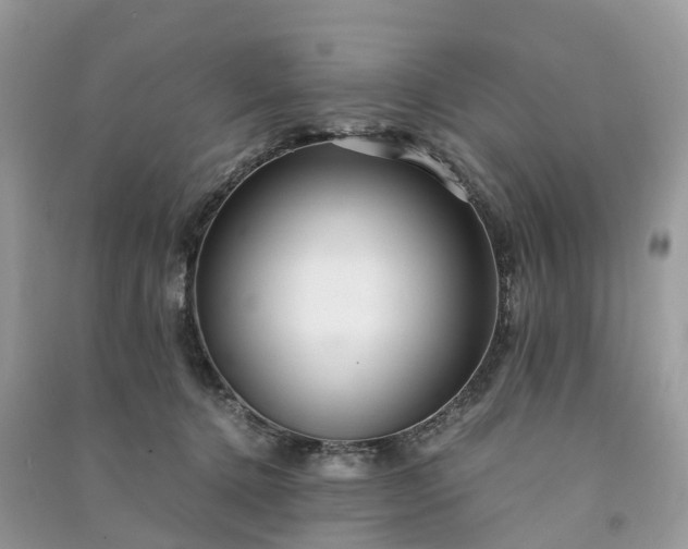 X0000090990368200708091524