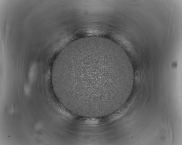 X0000090990369200708091524