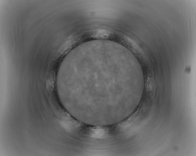 X0000090990370200708091524