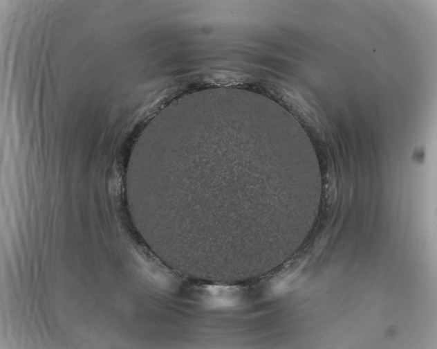 X0000090990371200708091524