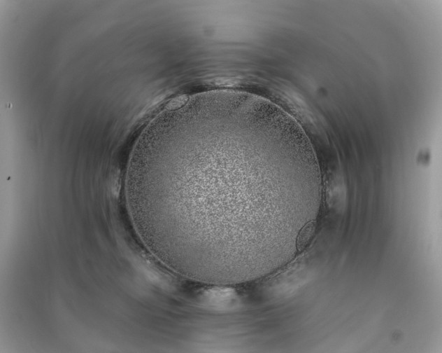 X0000090990374200708091524