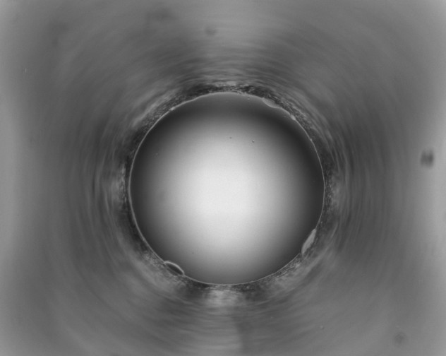 X0000090990376200708091524