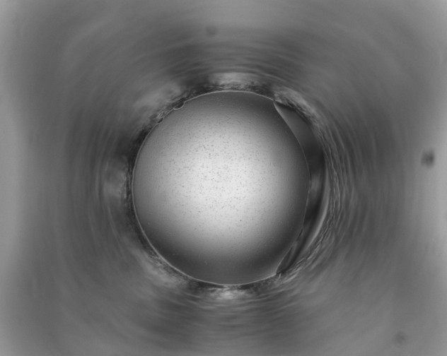 X0000090990379200708091524