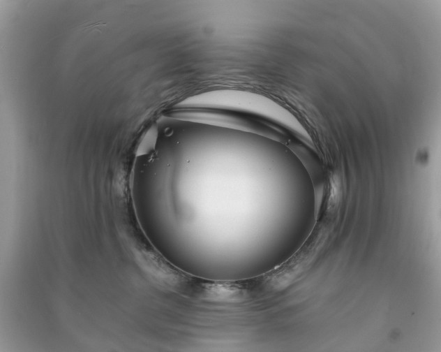 X0000090990380200708091524