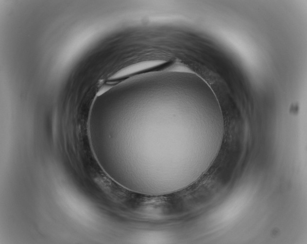 X0000090990382200708091524