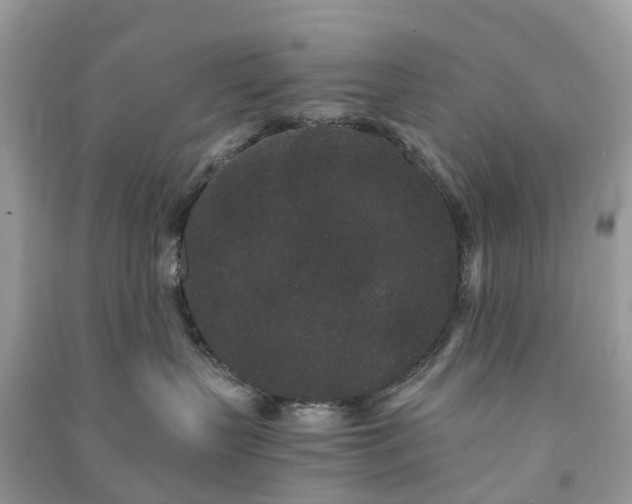 X0000090990383200708091524