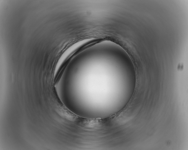 X0000090990384200708091524