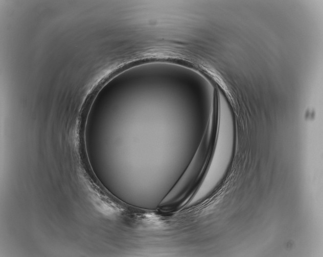 X0000090990387200708091523