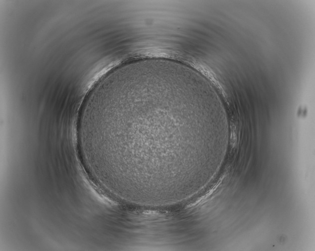 X0000090990390200708091523