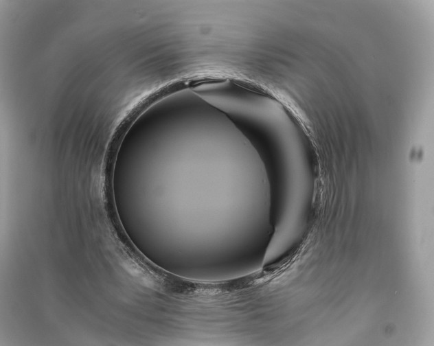 X0000090990391200708091523