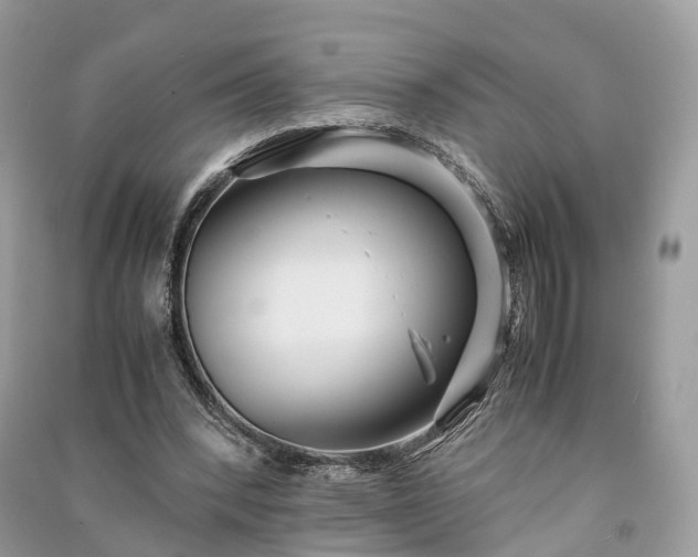 X0000090990392200708091523