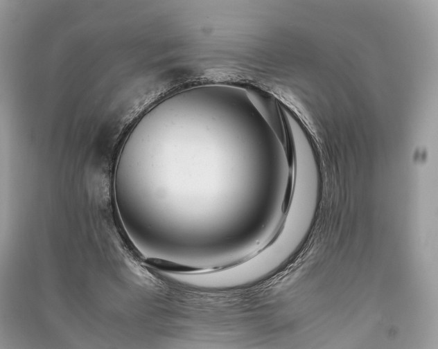 X0000090990393200708091523