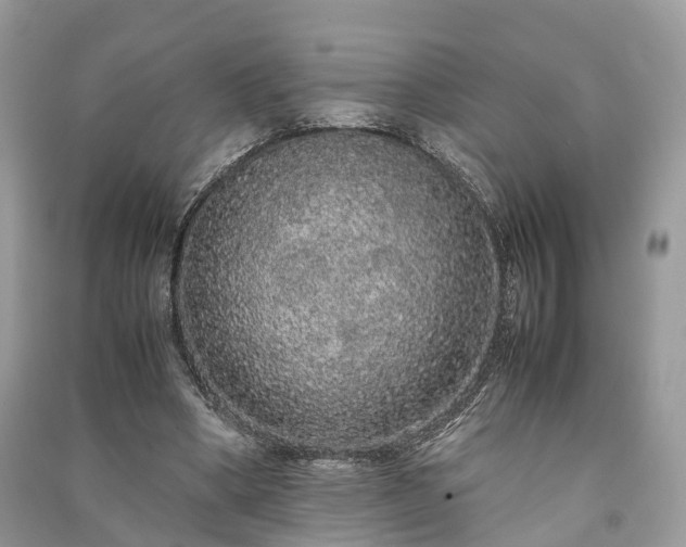 X0000090990394200708091523