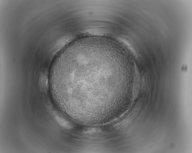 X0000090990398200708091523