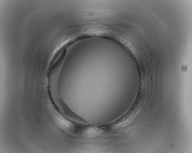 X0000090990399200708091523