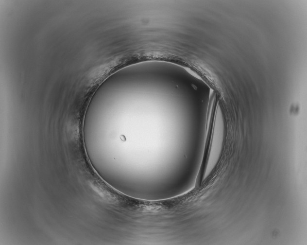 X0000090990401200708091523