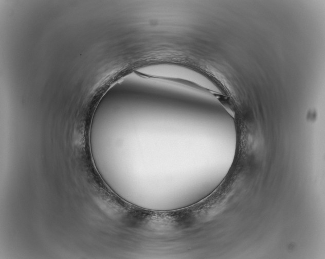 X0000090990403200708091523