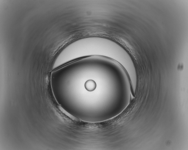 X0000090990405200708091523