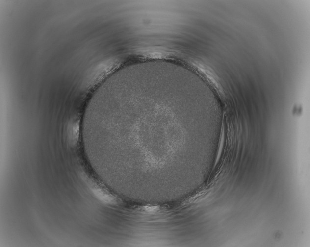 X0000090990406200708091523